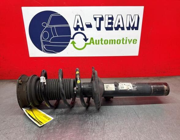 Shock Absorber VW TIGUAN (AD1, AX1), VW TIGUAN ALLSPACE (BW2)