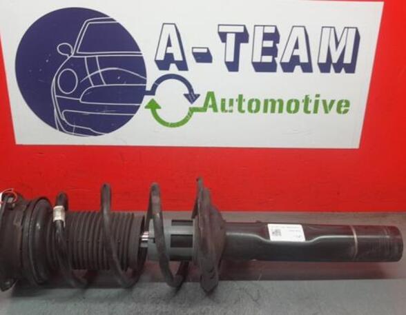 Shock Absorber AUDI Q3 (F3B)