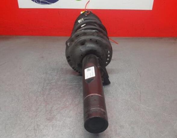 Shock Absorber AUDI Q3 (F3B)