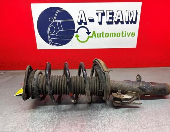 Shock Absorber FORD C-MAX II (DXA/CB7, DXA/CEU)