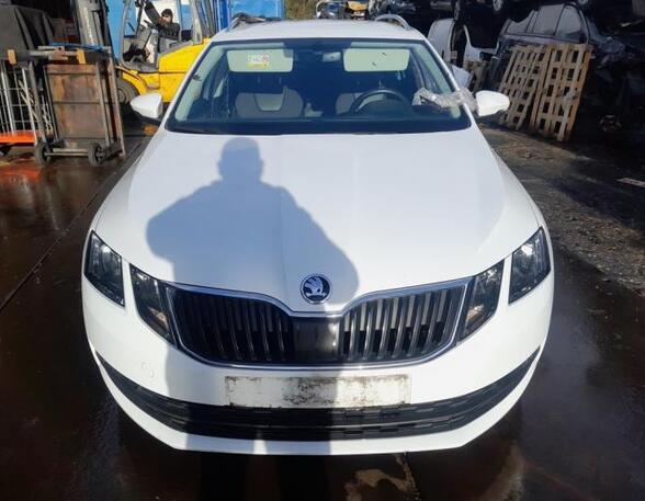 Interieurverlichting SKODA Octavia III Combi (500000, 5000000)