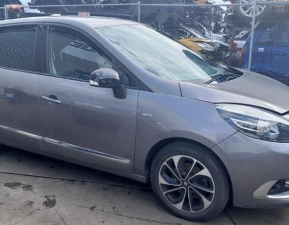 Türverkleidung rechts hinten Renault Scenic III JZ  P15596290