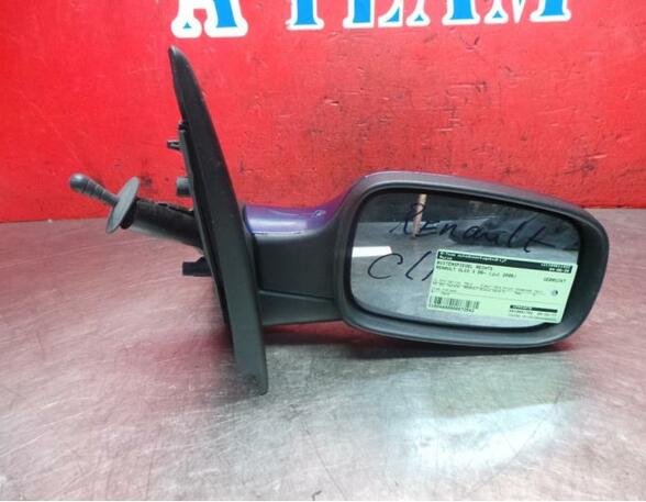 Wing (Door) Mirror RENAULT Clio III (BR0/1, CR0/1)