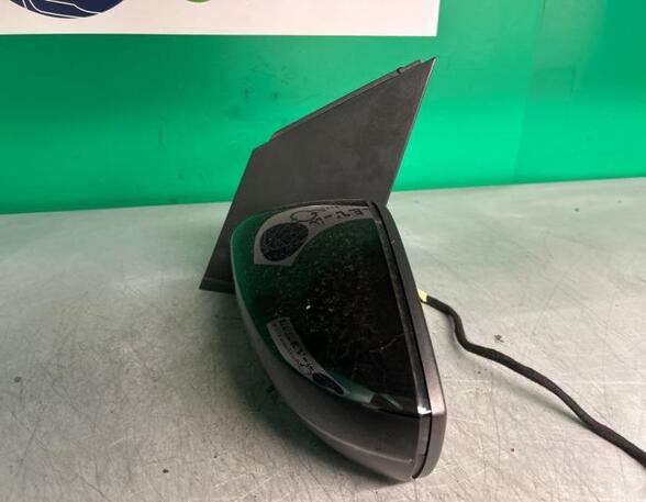 Wing (Door) Mirror VW POLO (6R1, 6C1), VW POLO Van (6R)