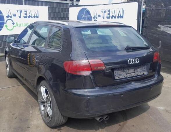 Roof AUDI A3 (8P1), AUDI A3 Sportback (8PA)