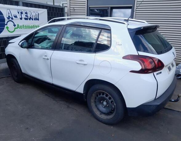 Door PEUGEOT 2008 I (CU)