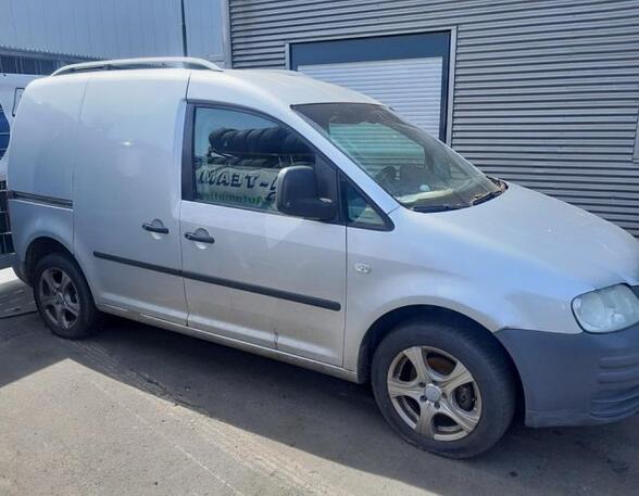 Door VW CADDY III Box Body/MPV (2KA, 2KH, 2CA, 2CH)