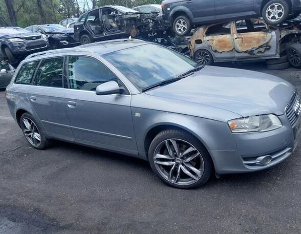 Deur AUDI A4 Avant (8E5, B6), AUDI A4 Avant (8ED, B7)