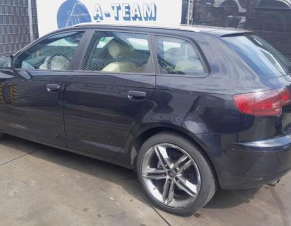 Door AUDI A3 (8P1), AUDI A3 Sportback (8PA)