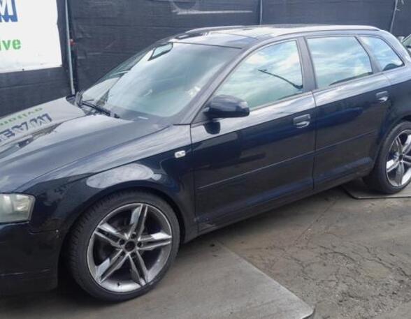 Deur AUDI A3 (8P1), AUDI A3 Sportback (8PA)