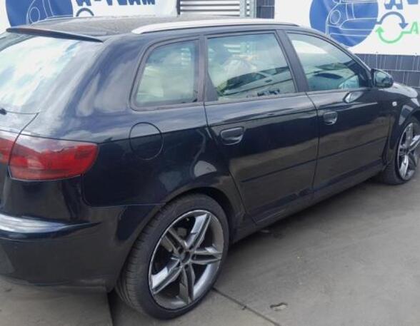 Door AUDI A3 (8P1), AUDI A3 Sportback (8PA)