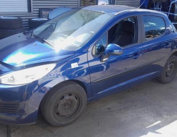 Deur PEUGEOT 207 (WA_, WC_)