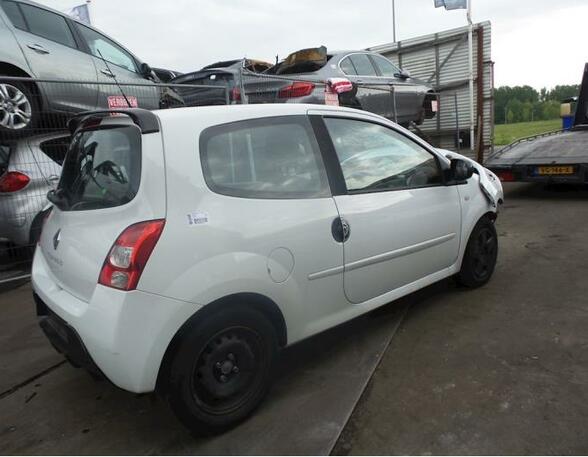 Side Window RENAULT Twingo II (CN0)