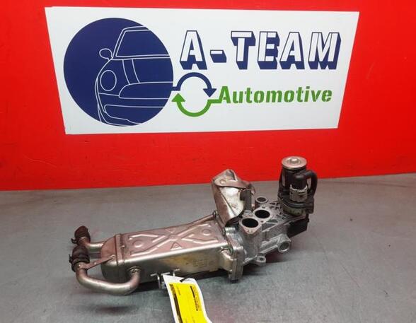 EGR Valve VW Polo (6C1, 6R1)