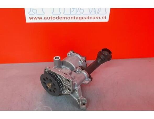 Oil Pump VW TIGUAN (AD1, AX1), VW TIGUAN ALLSPACE (BW2)