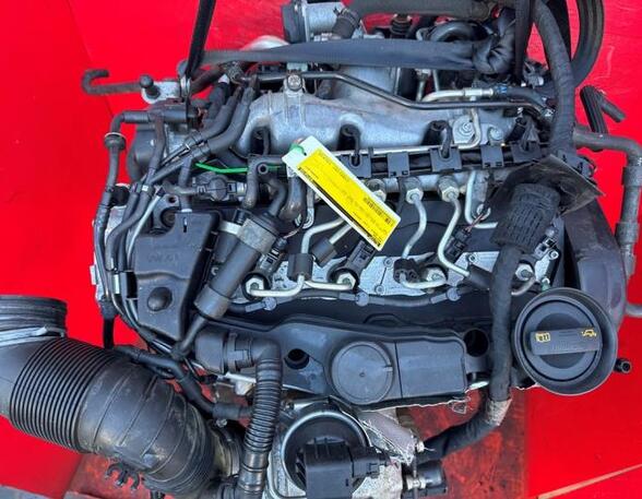 Bare Engine VW GOLF V (1K1), VW GOLF VI (5K1), VW GOLF VI Van (5K1_)