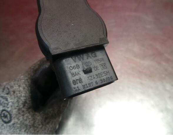 Ignition Coil VW Passat (3B3)