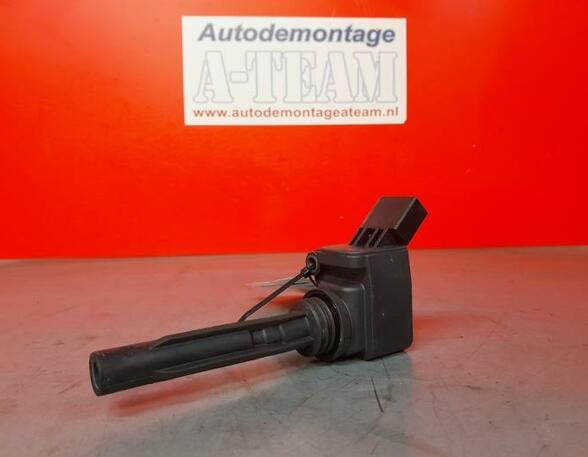 Ignition Coil SKODA Fabia III Kombi (NJ5)