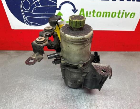 Power steering pump VW POLO (9N_)