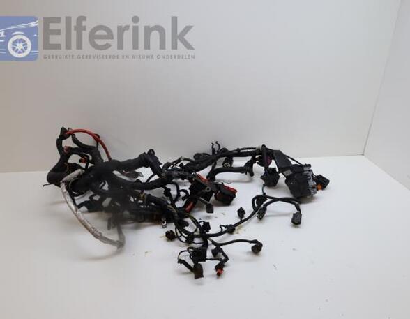 Wiring Harness VOLVO V70 III (135), VOLVO XC70 II (136)