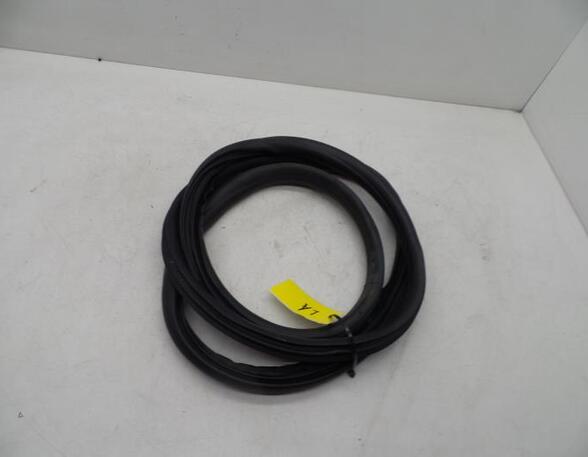 Door Seal VOLVO S60 II (134)