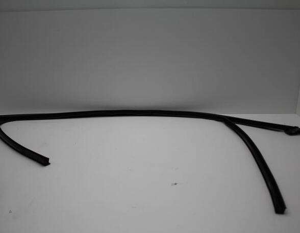 Door Seal VOLVO S40 II (544)