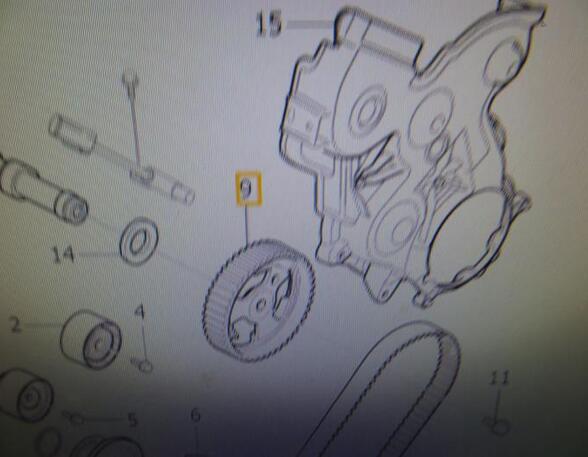 Camshaft Gear VOLVO V50 (MW)