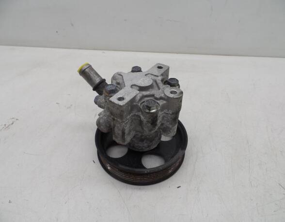 Power steering pump OPEL INSIGNIA A (G09), OPEL INSIGNIA A Sports Tourer (G09)