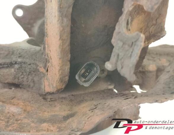 Stub Axle SKODA FABIA II (542)