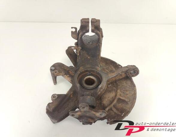 Stub Axle SKODA FABIA II (542)