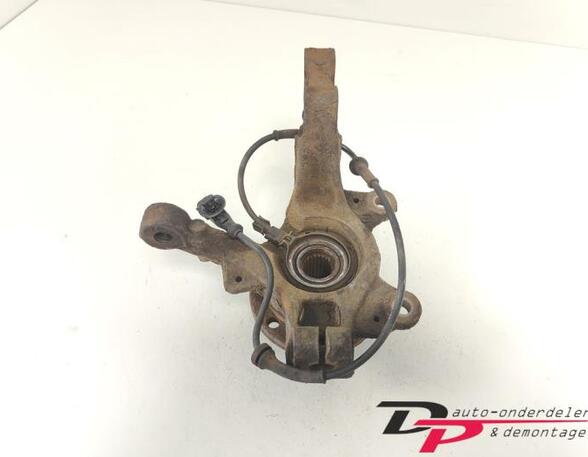 Stub Axle RENAULT CLIO III (BR0/1, CR0/1), RENAULT CLIO IV (BH_)