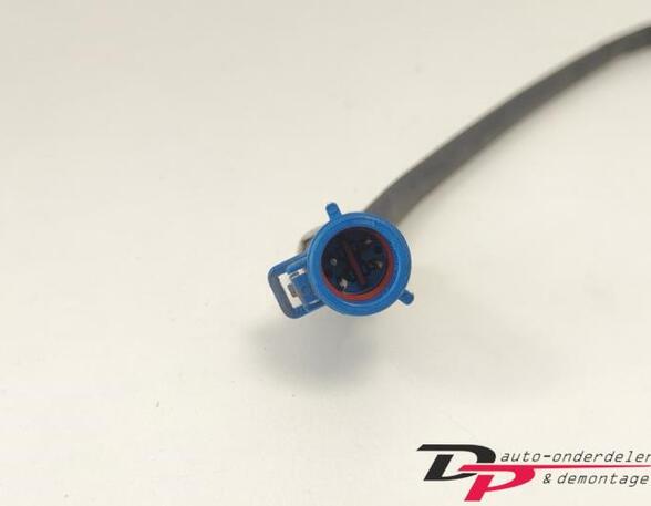 Lambda Sensor / NOx Sensor FORD C-MAX (DM2)