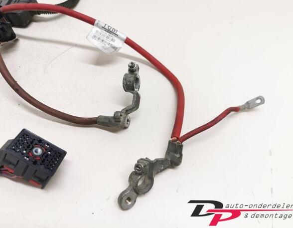 Wiring Harness OPEL Signum (--)