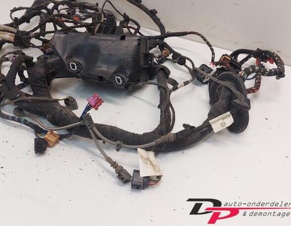 Wiring Harness VW Tiguan (AD1, AX1), VW Tiguan Allspace (BW2)