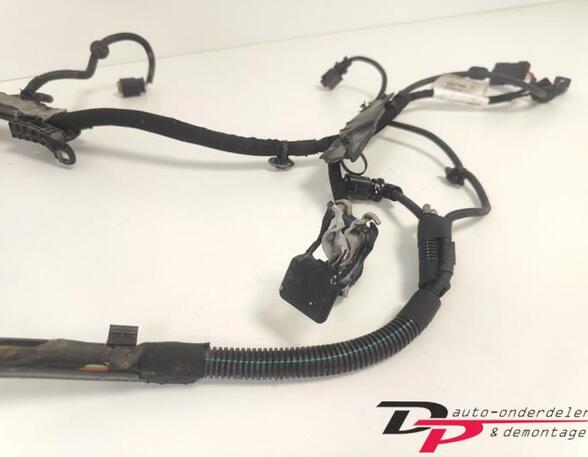 Wiring Harness CITROËN C3 III (SX)