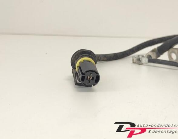 P20710821 Kabel MERCEDES-BENZ C-Klasse T-Modell (S205) A2055403103