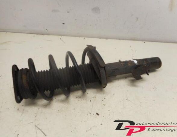 Suspension Strut FORD C-Max (DM2), FORD Focus C-Max (--)