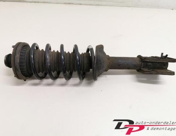 Suspension Strut LAND ROVER Freelander (LN)