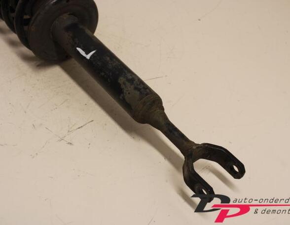 Suspension Strut VW Passat (3B3)