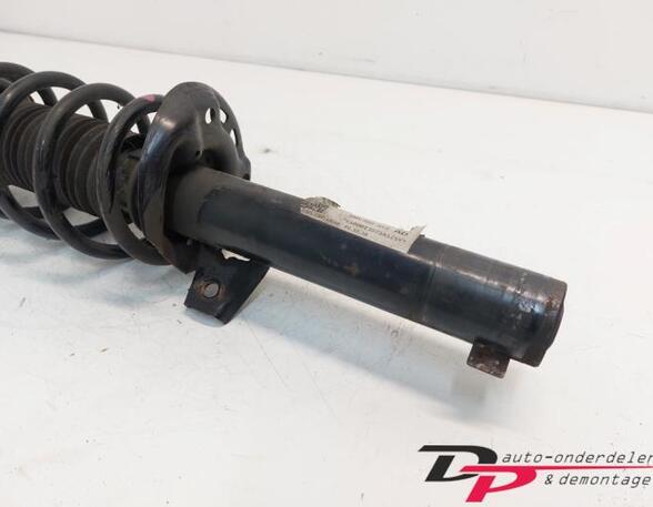 Suspension Strut VW Tiguan (5N)