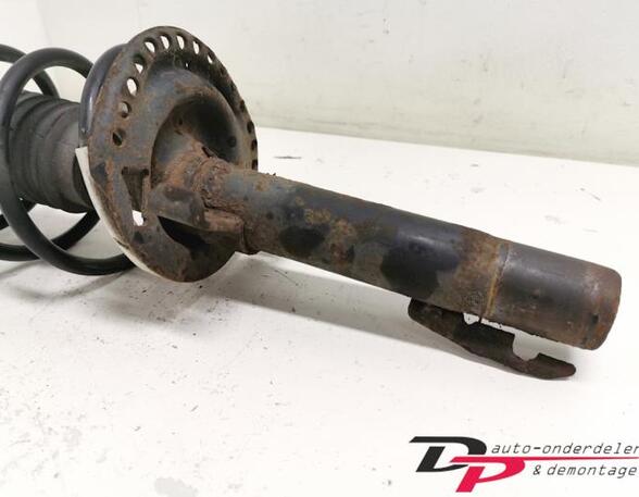 Suspension Strut RENAULT Megane II (BM0/1, CM0/1)