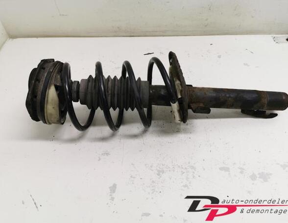 Suspension Strut RENAULT Megane II (BM0/1, CM0/1)