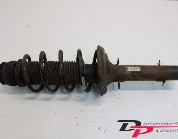 Suspension Strut VW Golf IV (1J1)