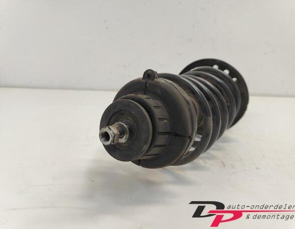 Suspension Strut FIAT Stilo (192)