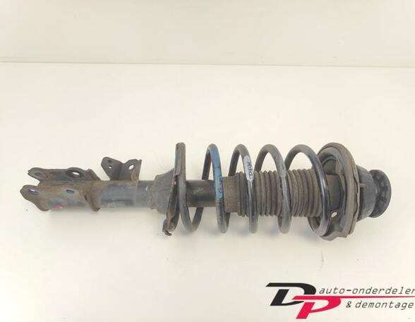 Suspension Strut HYUNDAI i10 (PA)