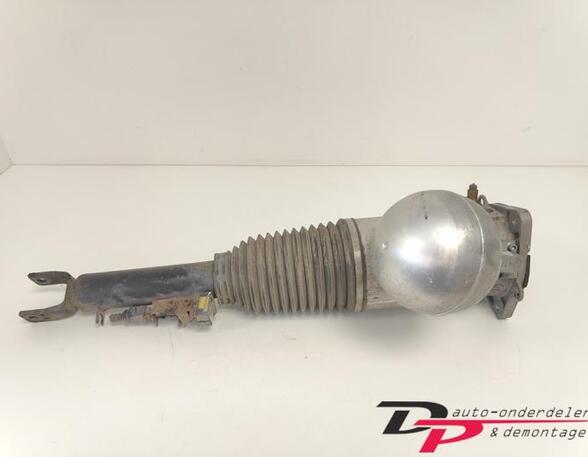 Suspension Strut VW Phaeton (3D1, 3D2, 3D3, 3D4, 3D6, 3D7, 3D8, 3D9)