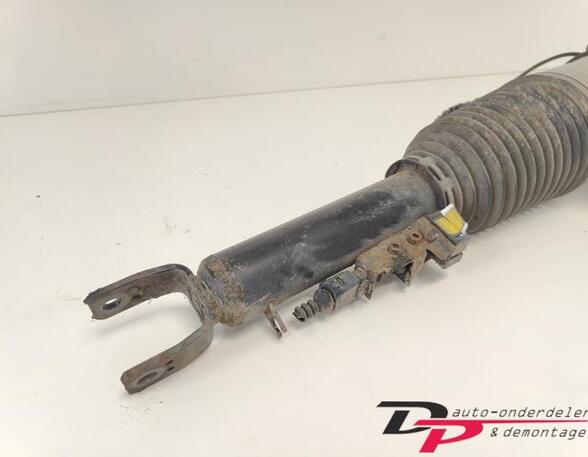 Suspension Strut VW Phaeton (3D1, 3D2, 3D3, 3D4, 3D6, 3D7, 3D8, 3D9)