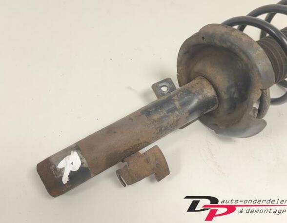 Suspension Strut FORD FOCUS II (DA_, HCP, DP)