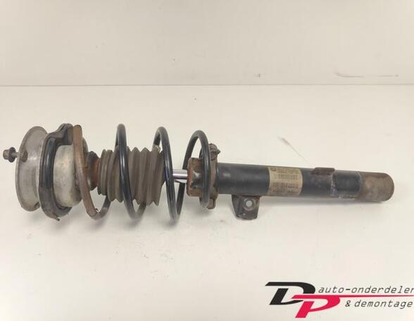 Suspension Strut BMW 1 (E81), BMW 1 (E87)