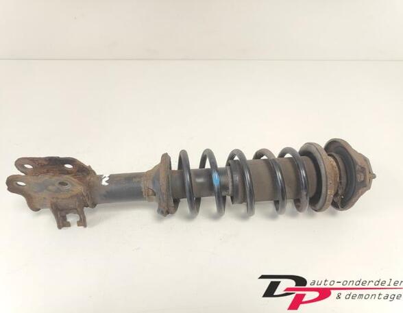 Suspension Strut SUZUKI ALTO (FF)